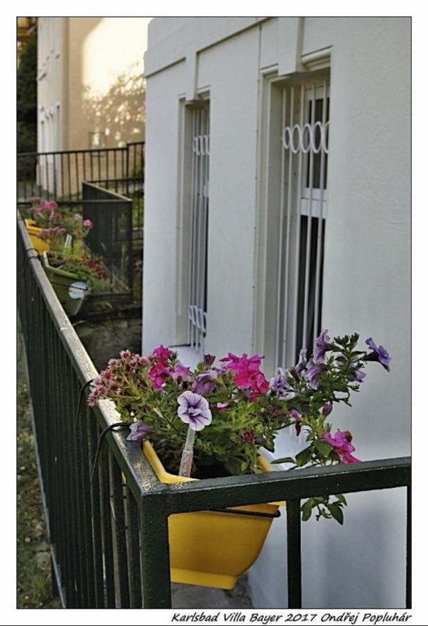 Apartman Vila Bayer Karlsbad Exteriör bild
