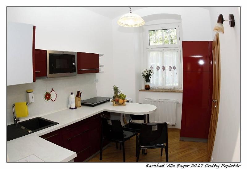 Apartman Vila Bayer Karlsbad Exteriör bild