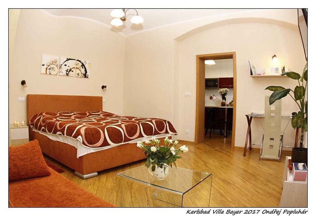 Apartman Vila Bayer Karlsbad Exteriör bild